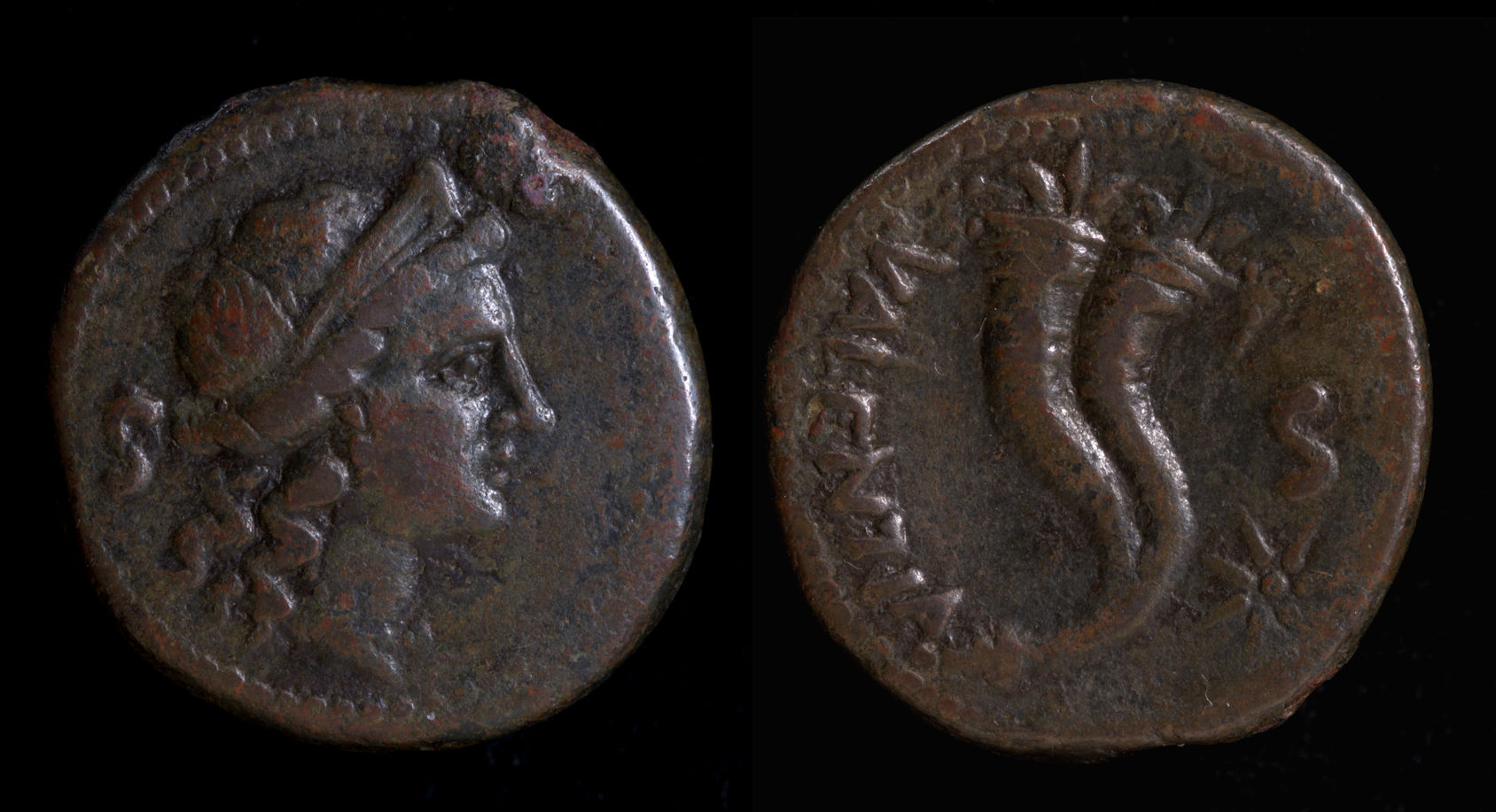 Bruttium Vibo Valentia.jpg