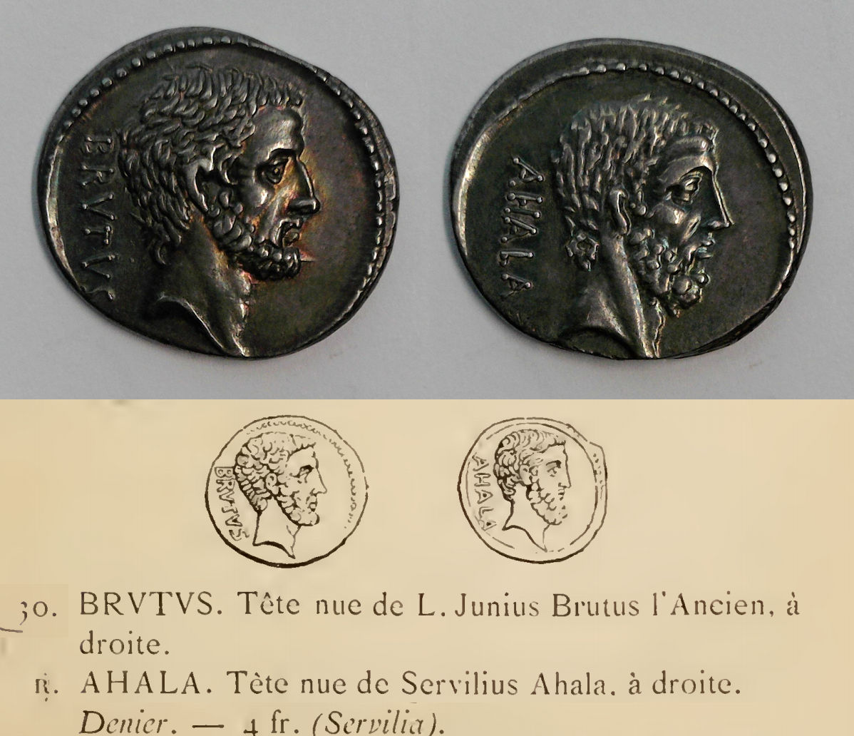 Brutus Ahala Top 1.jpg