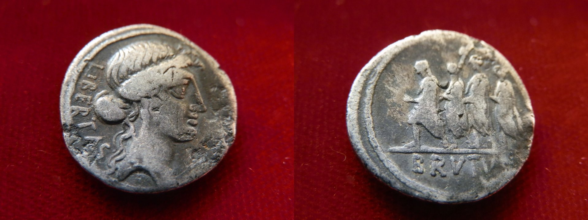 brutus denarius 2.jpg