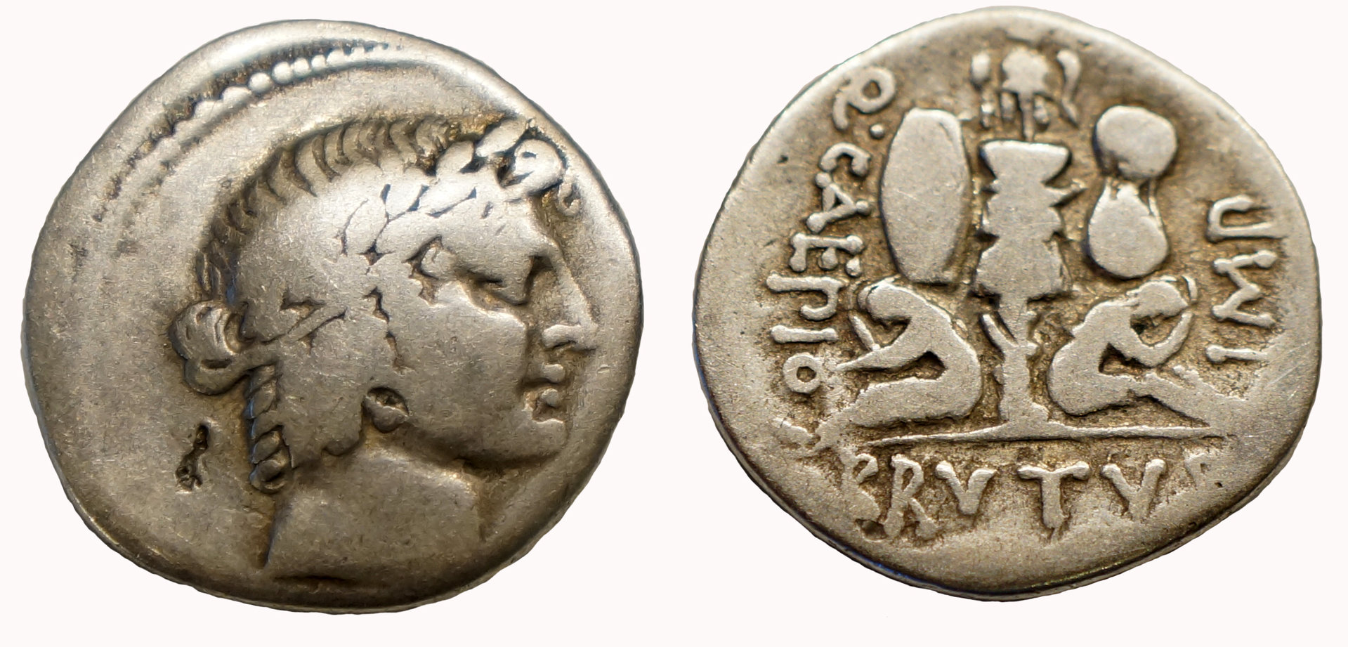 Brutus Denarius 503-1 Cederlind NYINC 2013 PS.jpg