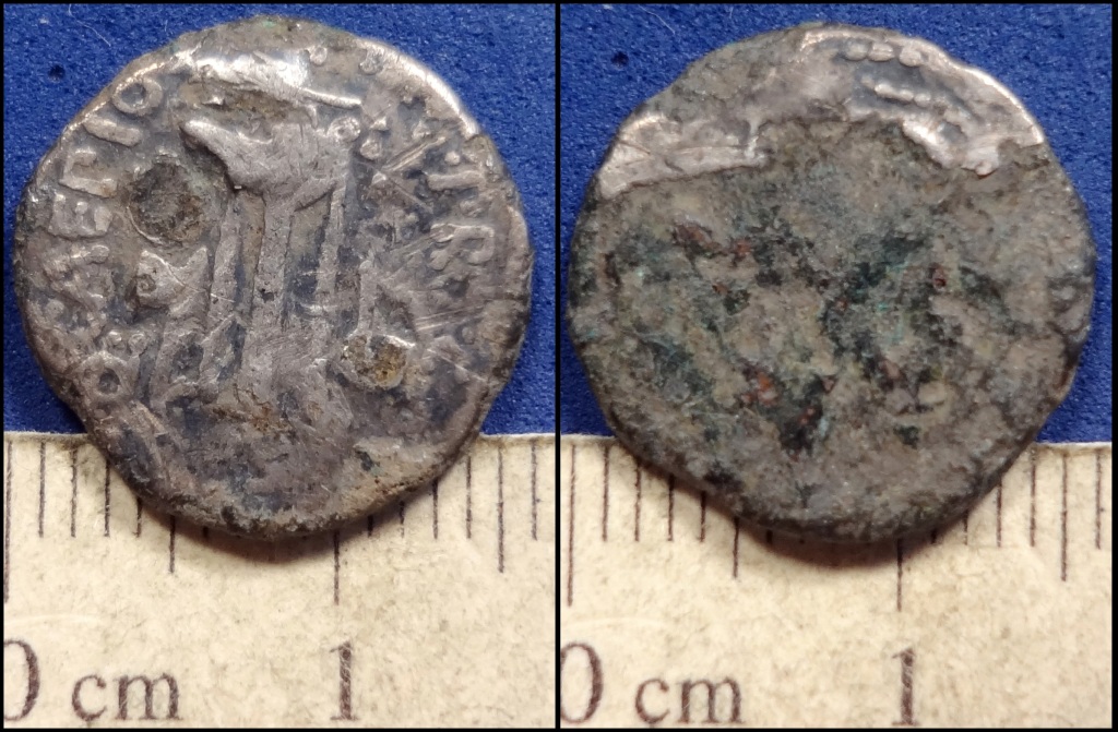 brutus fouree denarius.jpg