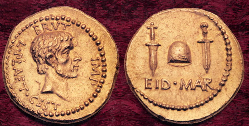 brutus..jpg
