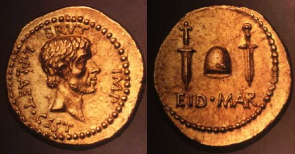 Brutus.JPG