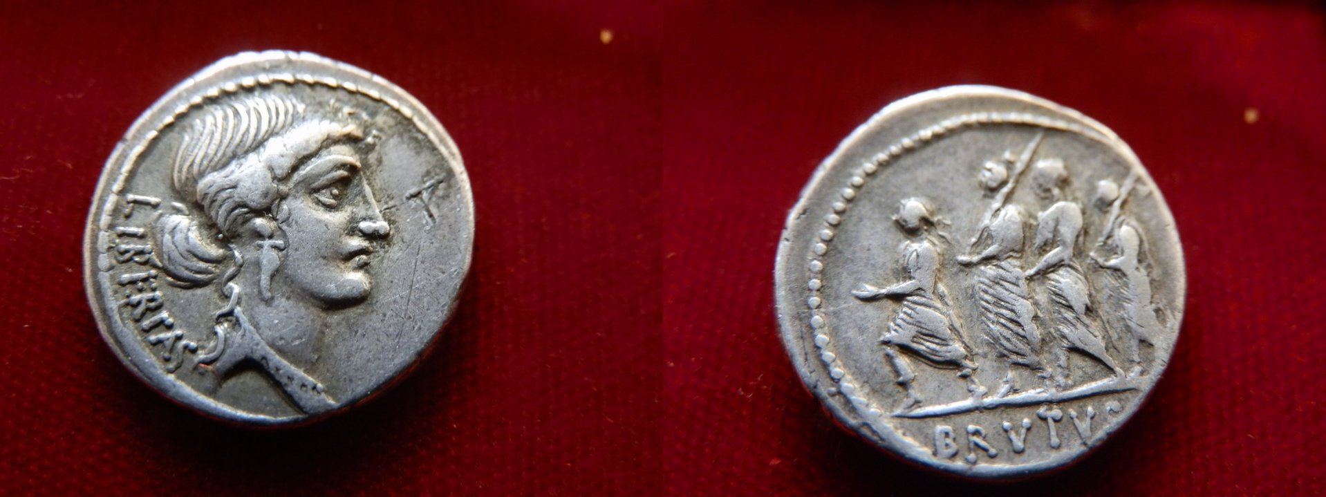 Brutus new.jpg