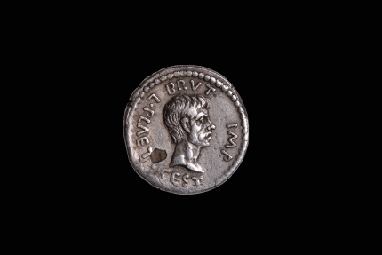 Brutus plated den..jpg