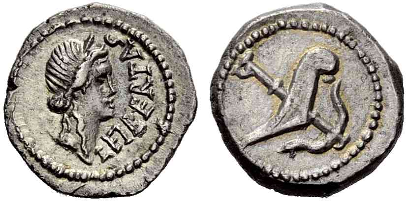 Brutus Quinarius NAC 2013.jpg