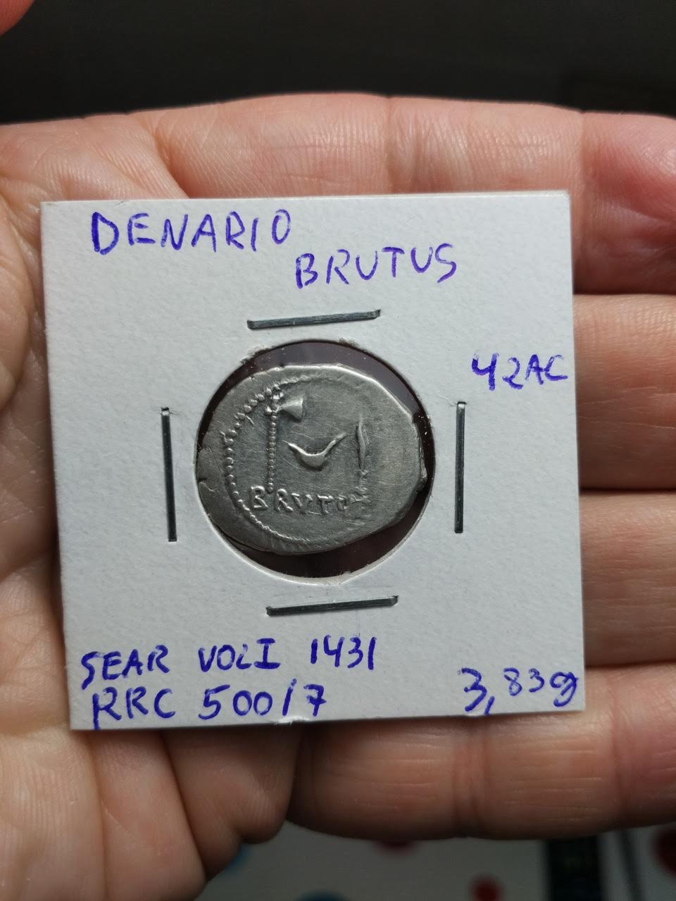brutus1.jpg