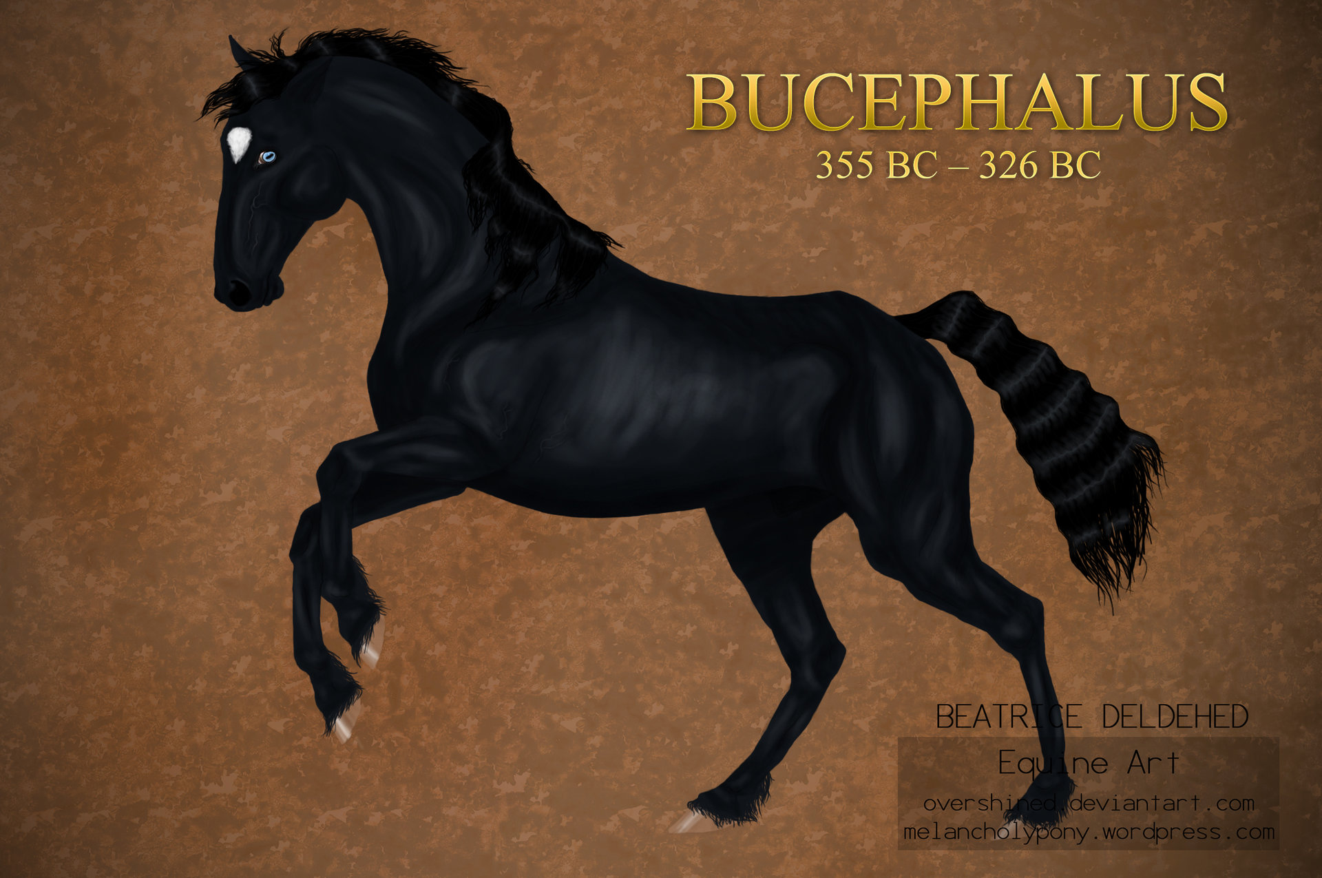 bucephalus_the_great_by_overshined-d3duqp9.jpg