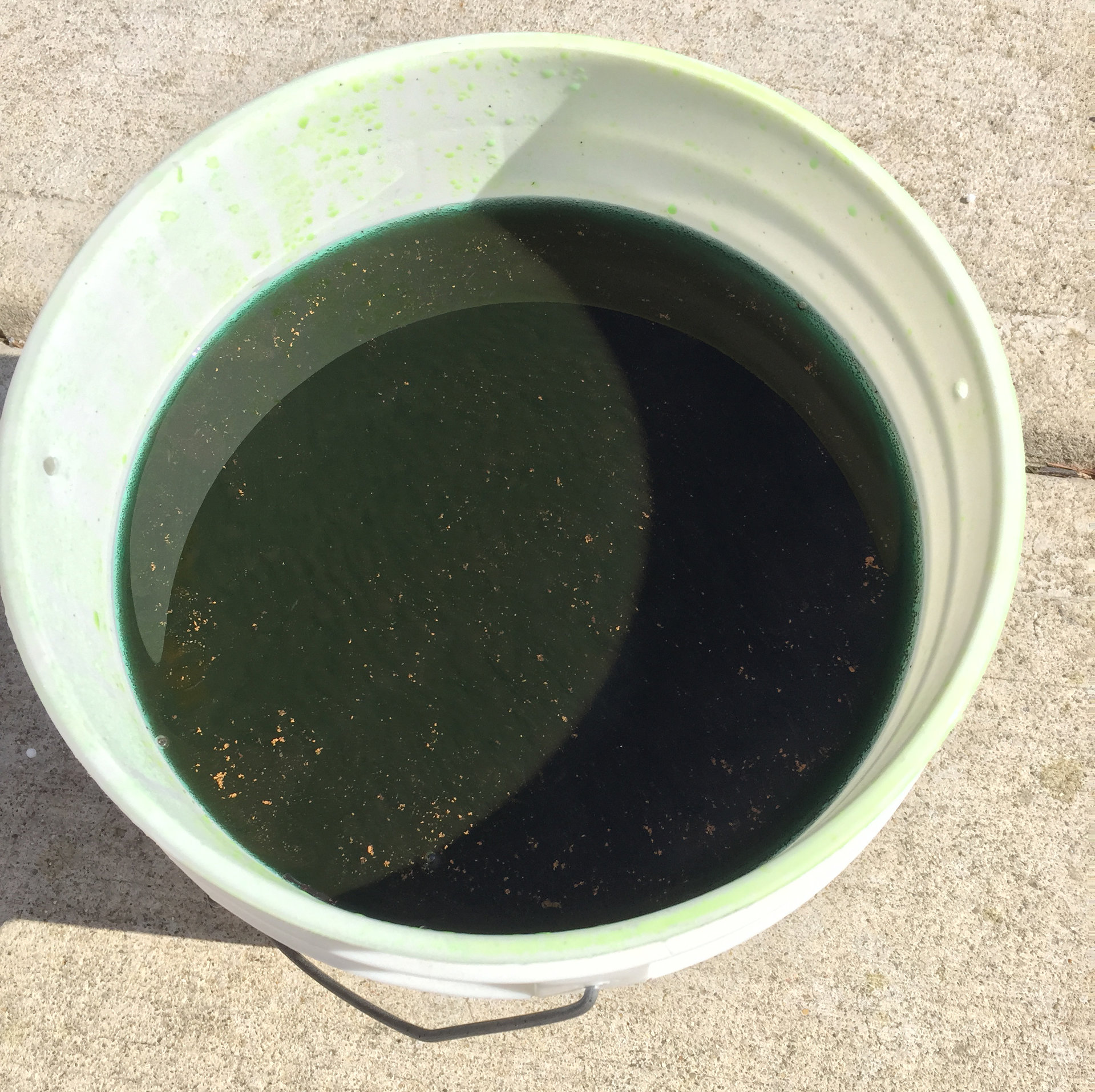 bucket.jpg