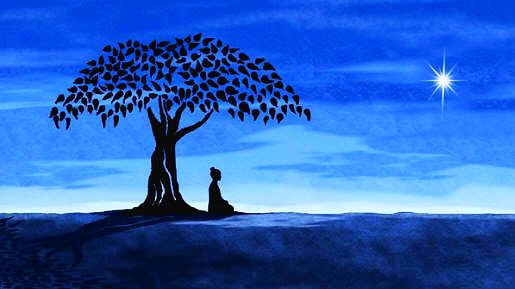 buddha bodhi.jpg