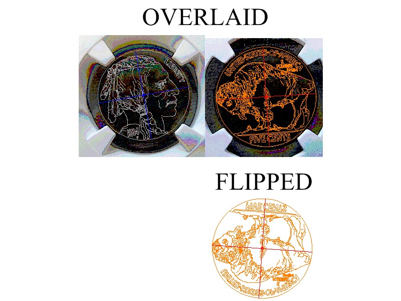 Buffalo Rotation 2.JPG
