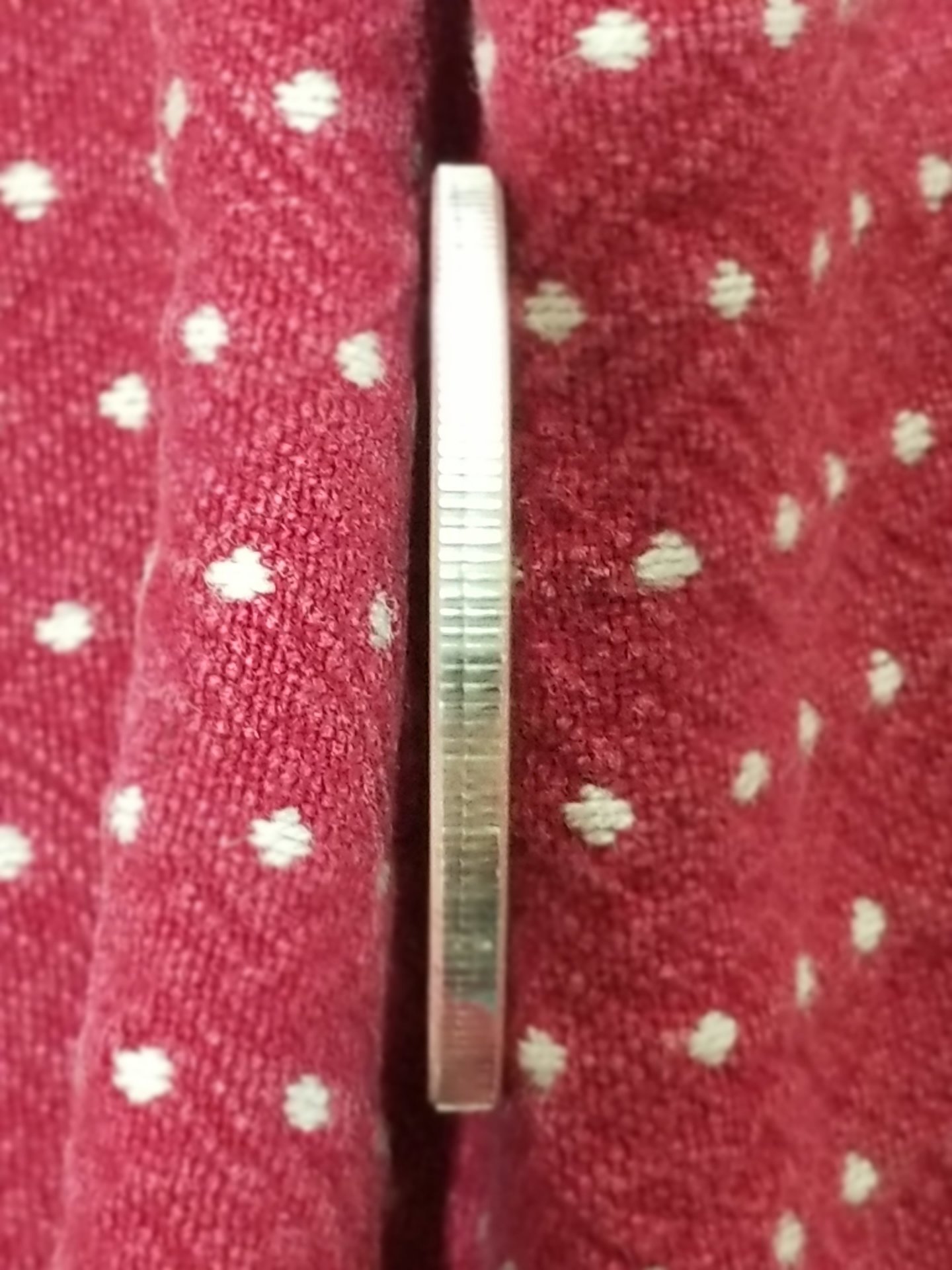 buffalo Silver Round edge.jpg