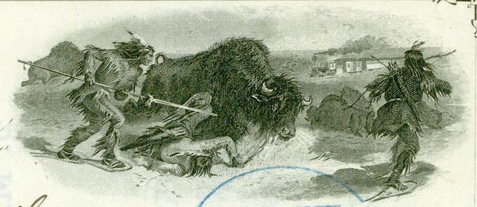 Buffalo vignette.jpg
