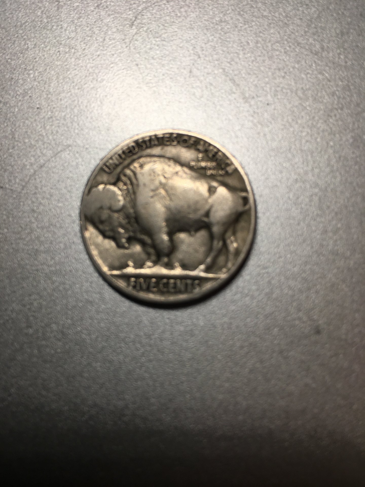 buffalo1.jpg