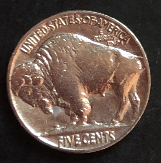 buffalo1a.jpg