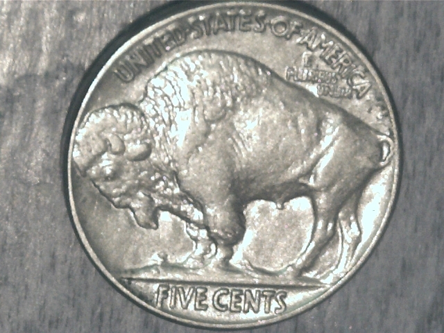 buffalo2.jpg
