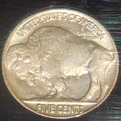 buffaloREV.JPG