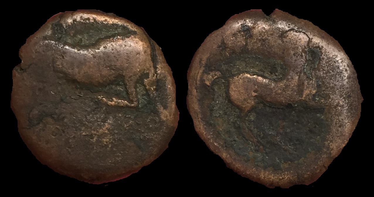Bull and Horse.jpg