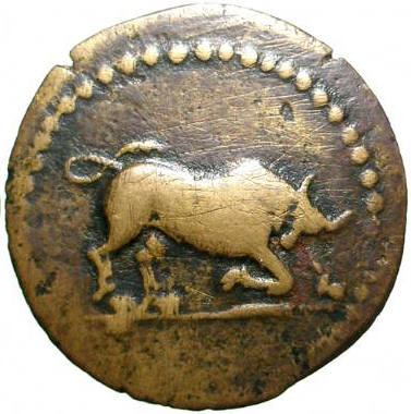 bull butting b.jpg