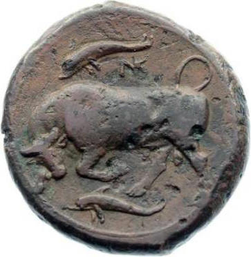 bull & dolphin b.jpg