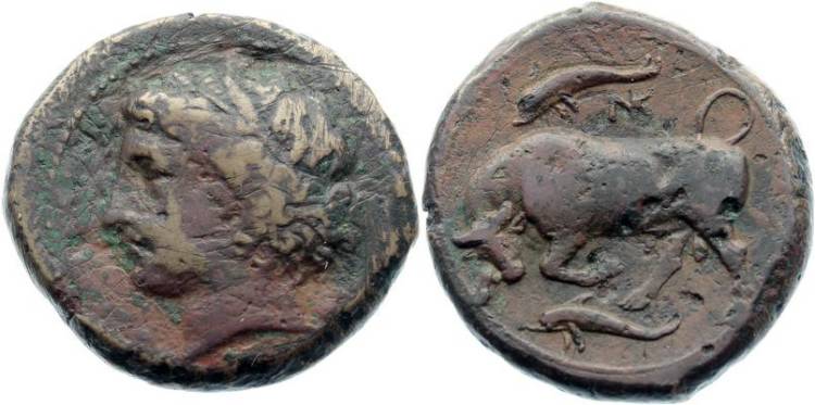 bull & dolphin.jpg