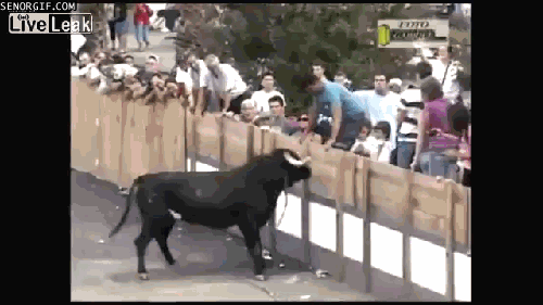 Bull.gif