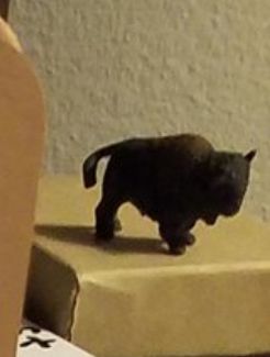 bull.JPG