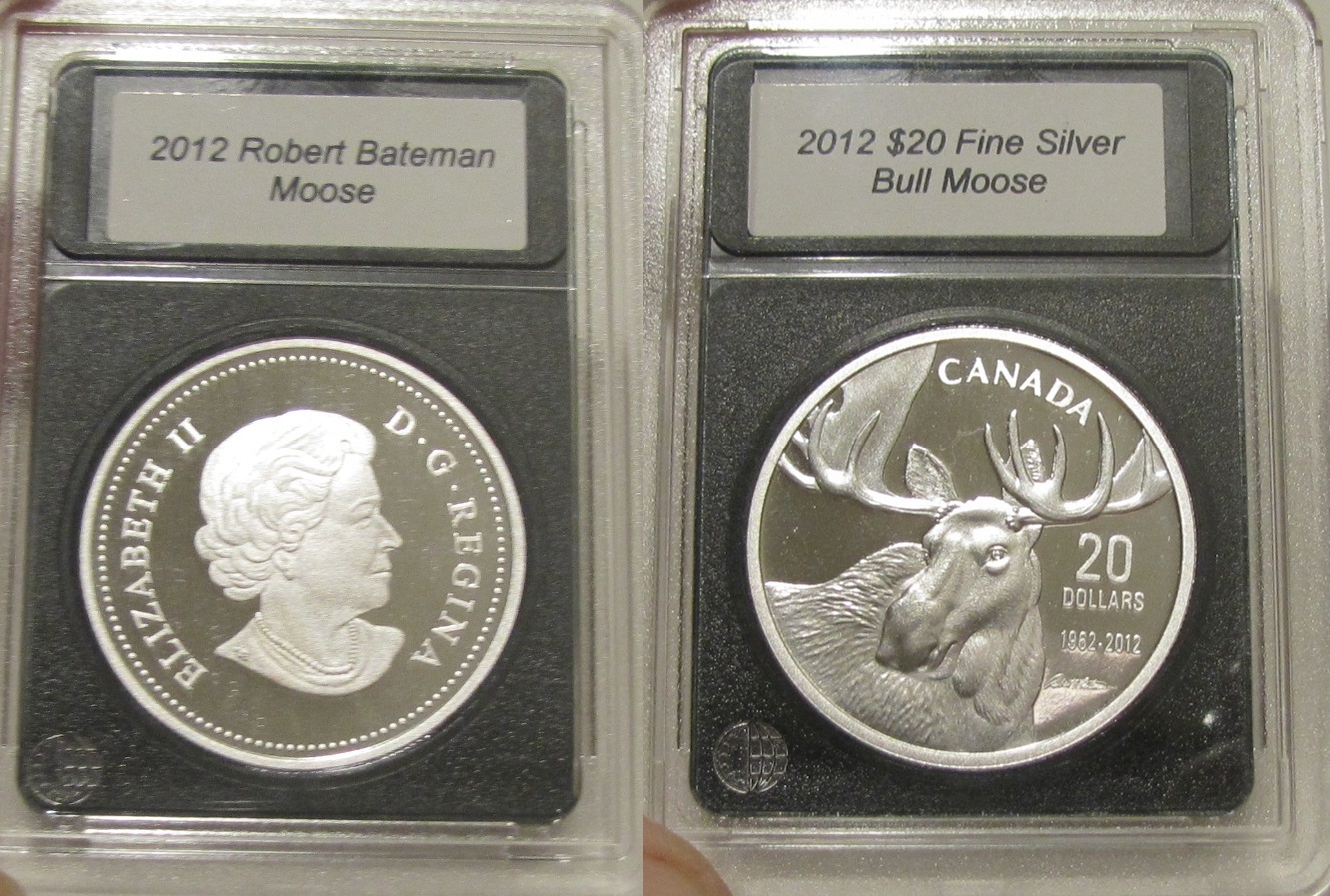 Bull moose 2-horz.jpg