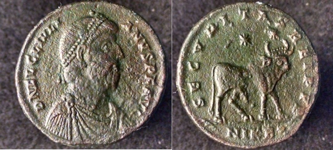 bull, owl, alex 003_opt.jpg