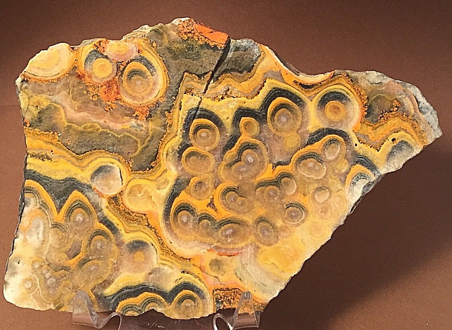 Bumblebee s-l64.jpg