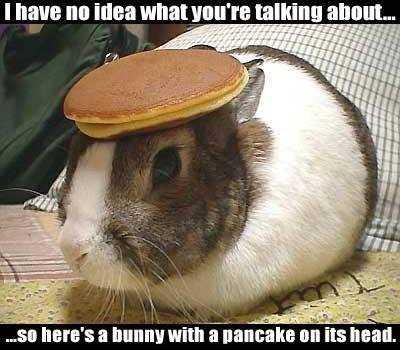 bunny jpg (2).jpg