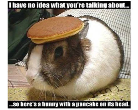 bunnypancake.jpg