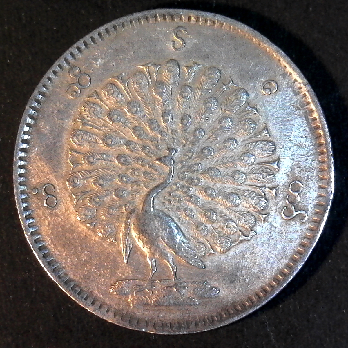 Burma obverse.jpg