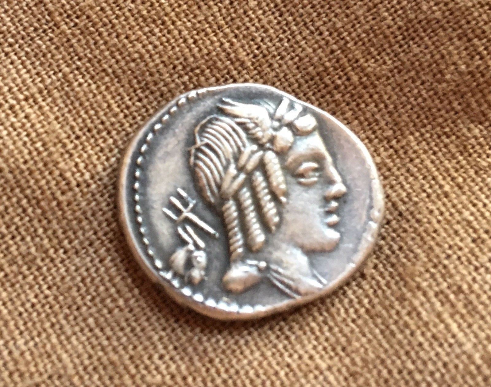 bursios-l1600.jpg