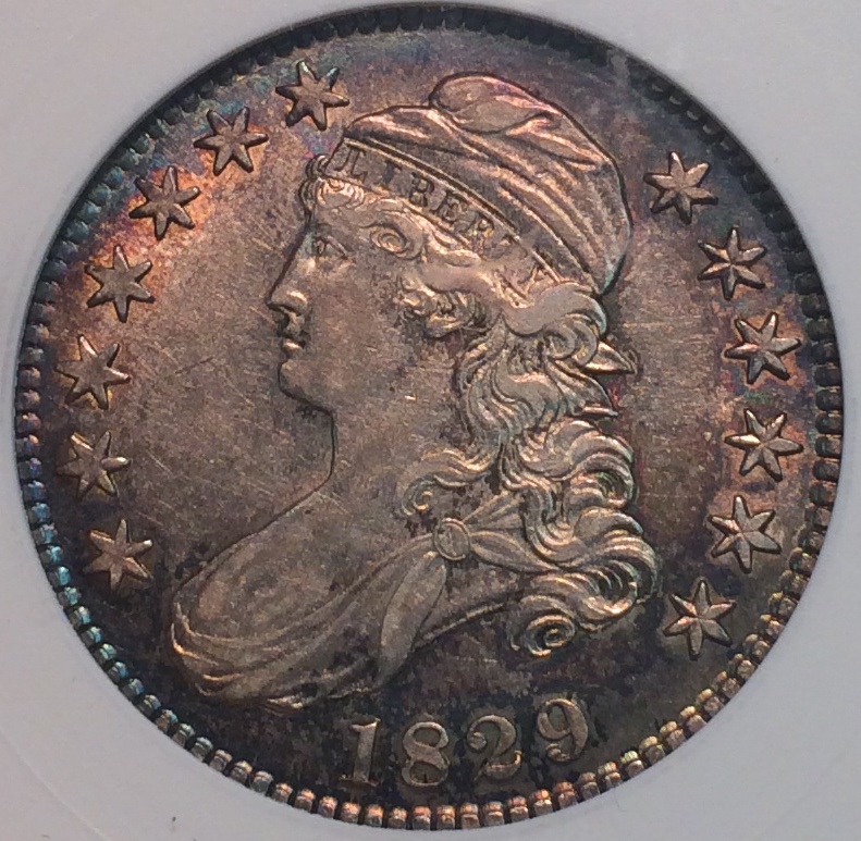 bust 5.jpg