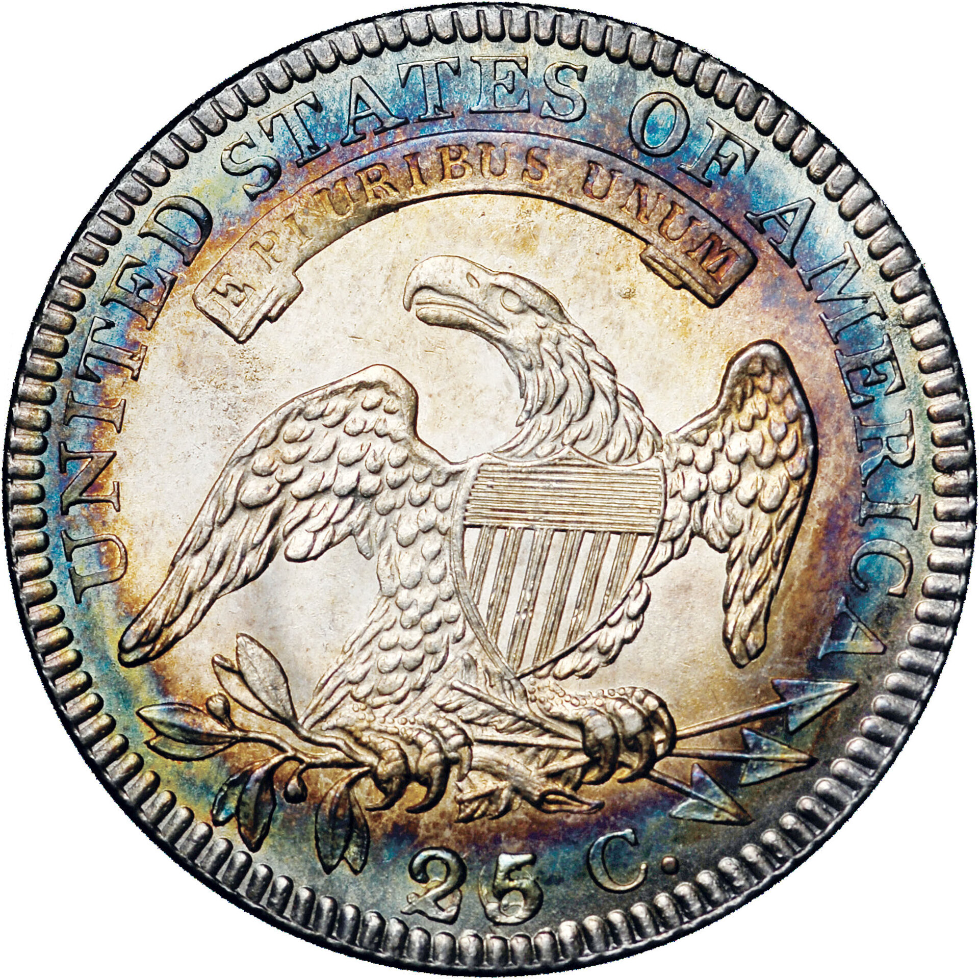 bust quarter.jpg
