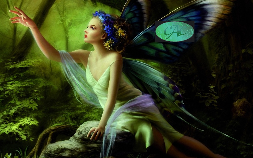 butterfly-fairy_.jpg
