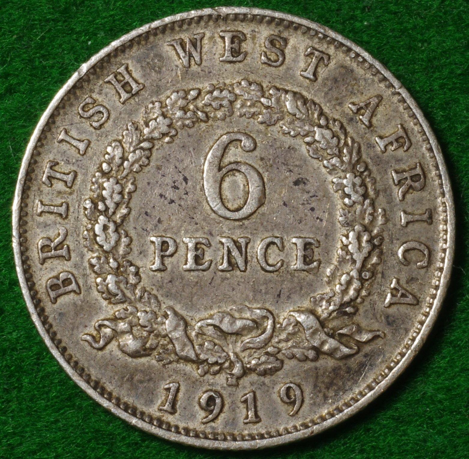 BWA 6D 1919 1.JPG