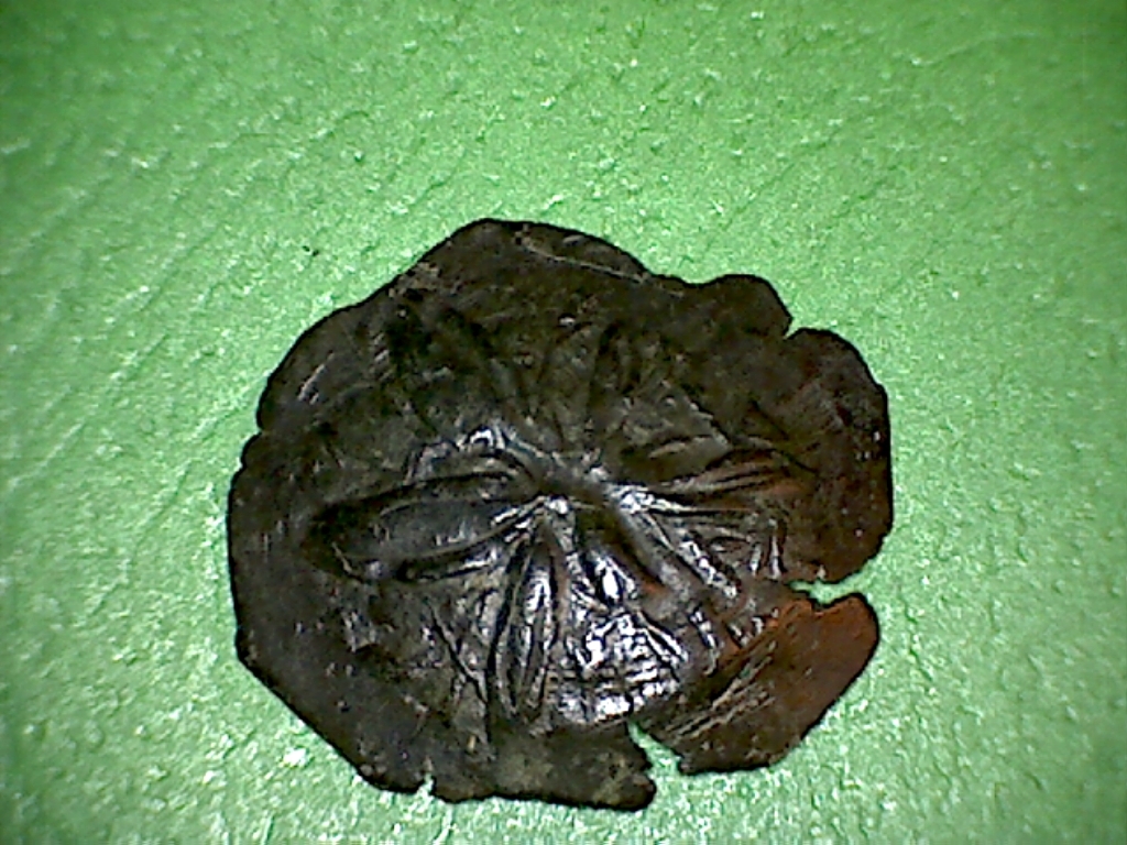 Byz Andronicus II a 3.jpg