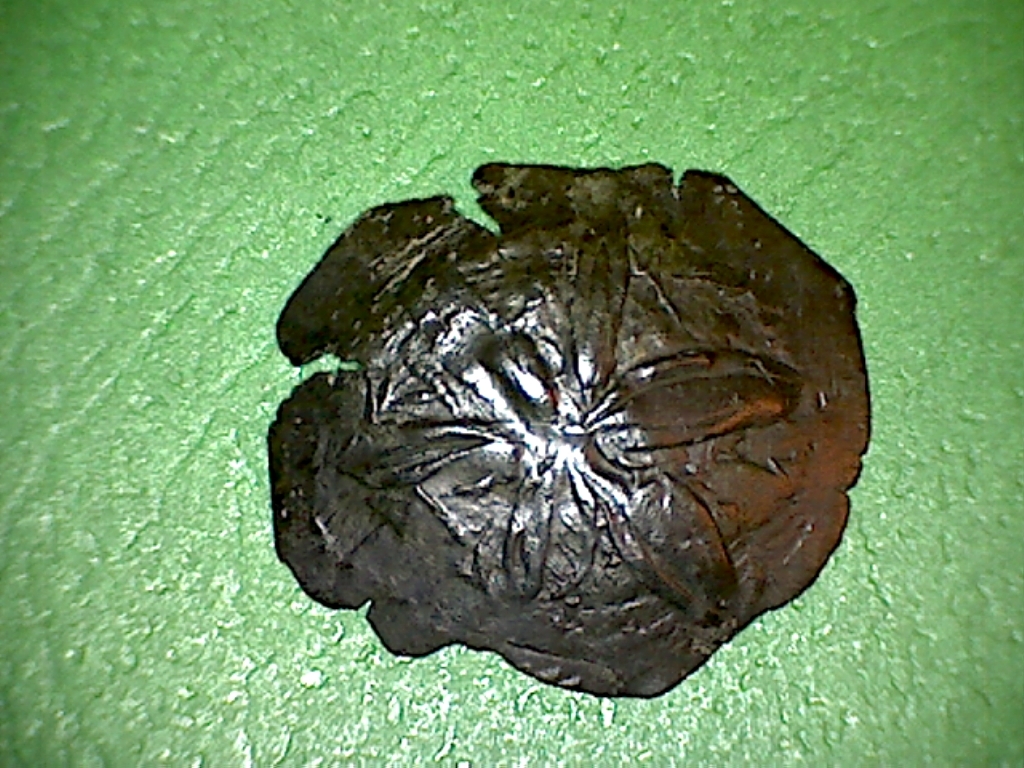 Byz Andronicus II a 5.jpg