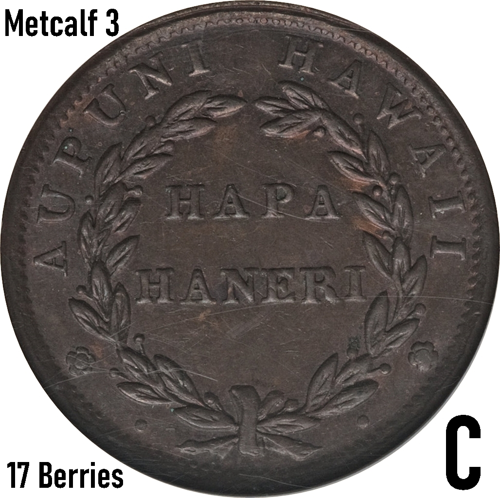 C 17 Berries.jpg