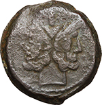 C Antestius.jpg