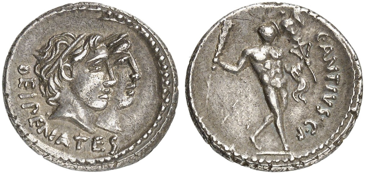 C Antius Cf Restio 455-2a Kunker 2015.jpg