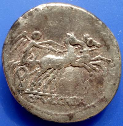 C.CLAUDIUS PULCHER 2 rev.JPG