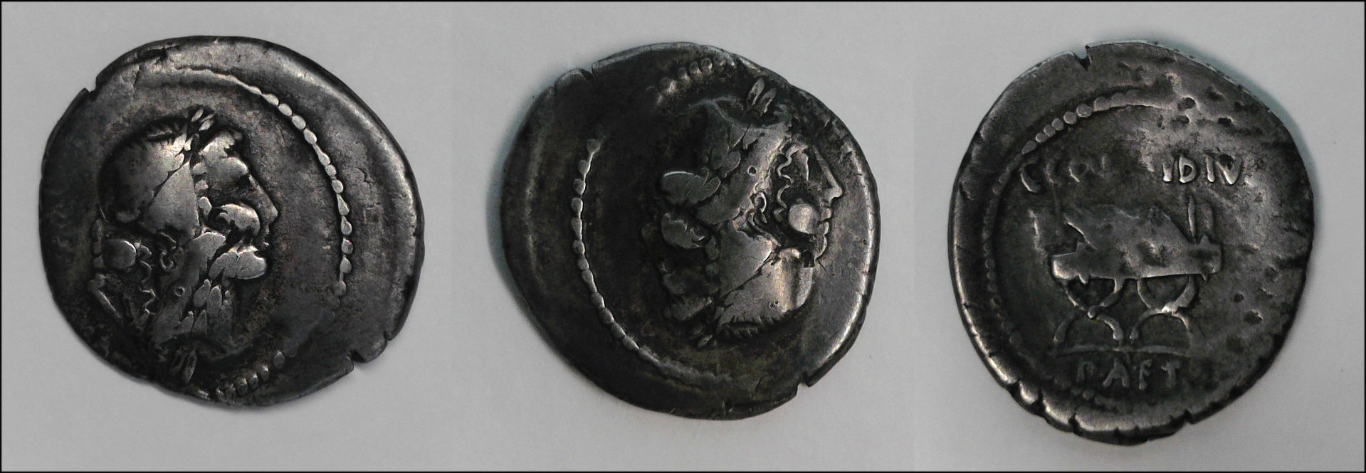C Considius Paetus Double.jpg