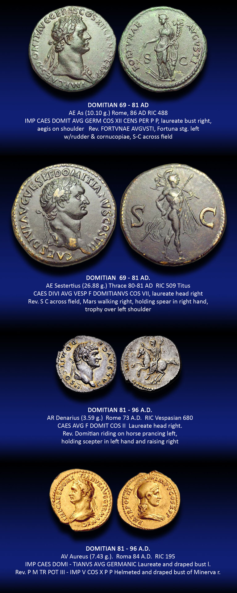 C - Domitian mint set.jpg