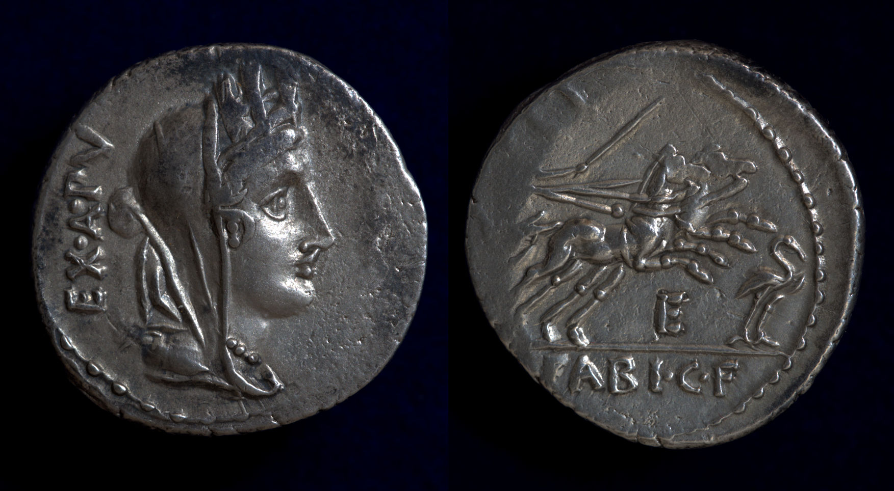 C. Fabius Hadrianus.jpg