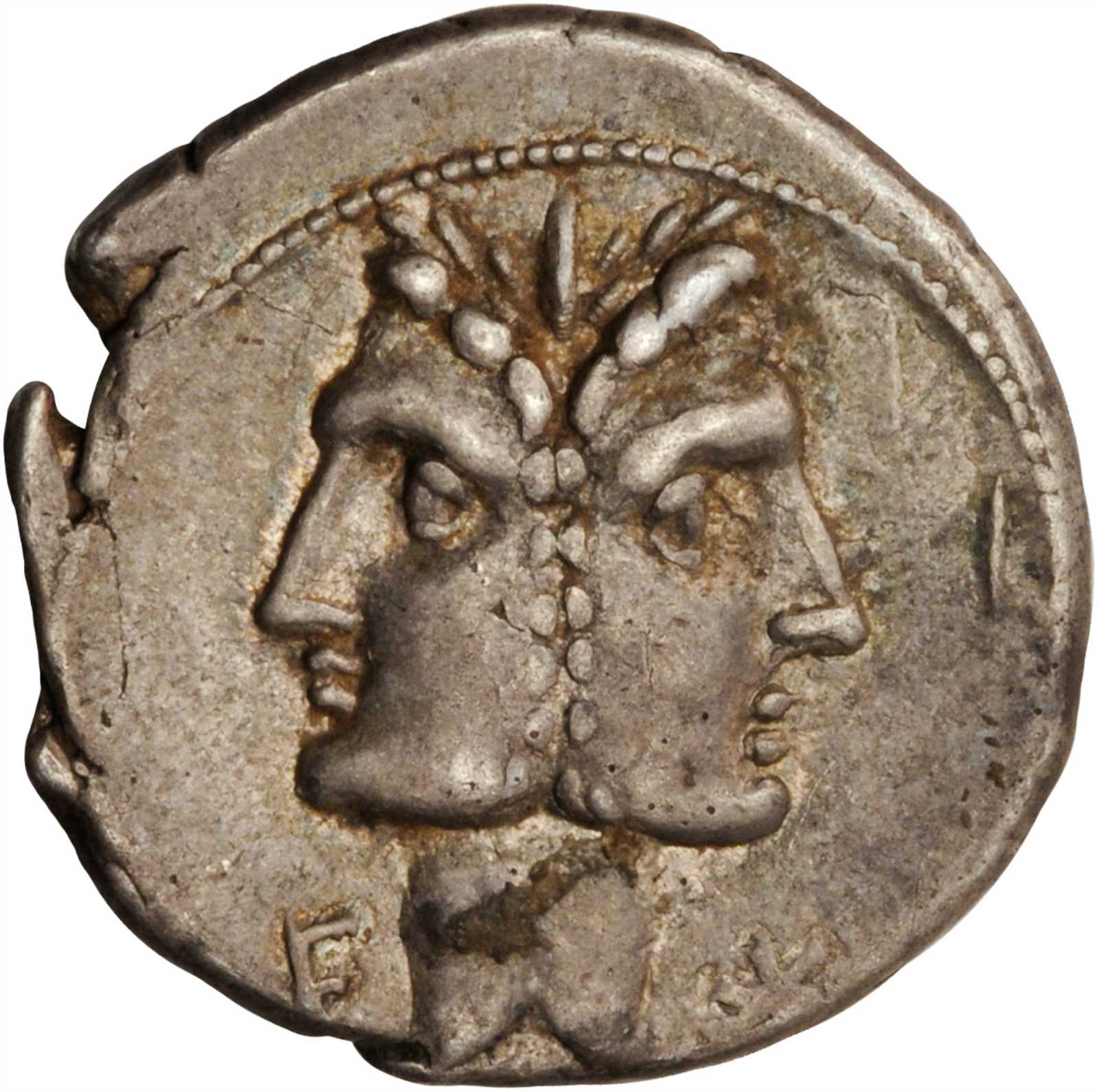 C. Fonteius Stacks NYINC 1.13.15.JPG