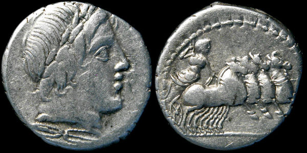 C GARGONIUS.jpg