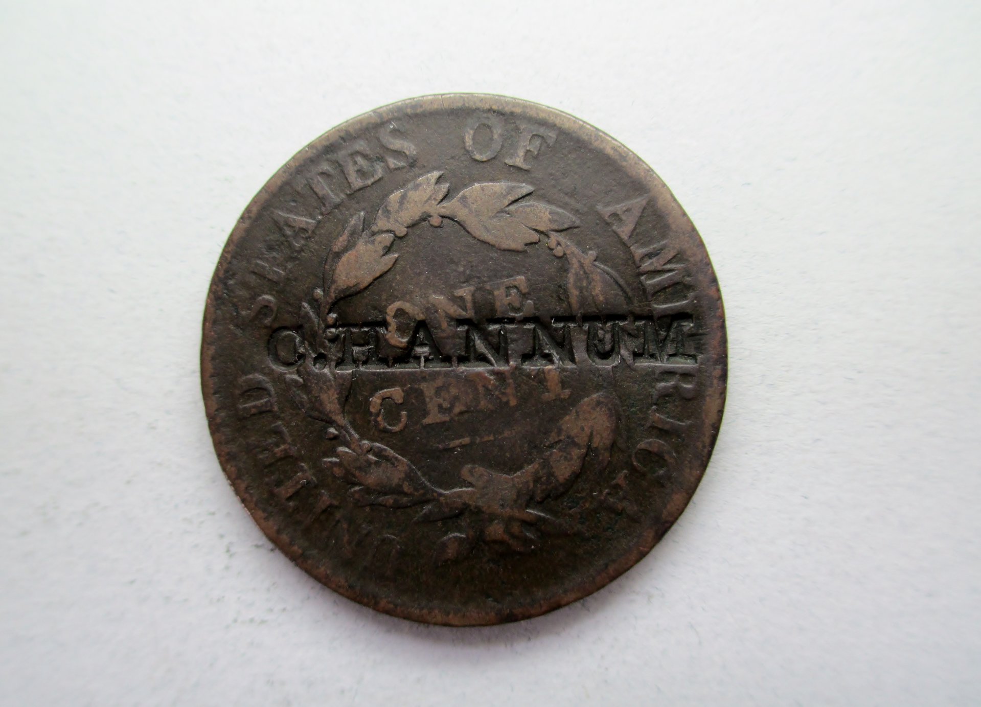 C Hannum 1.JPG